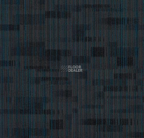 Tessera Alignment 240 Wavelength фото 2 | FLOORDEALER